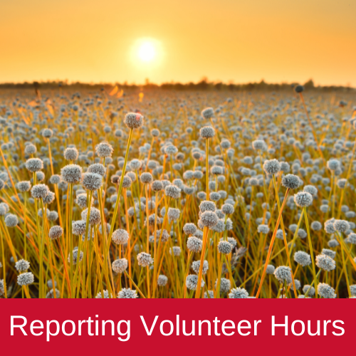 Reporting Volunteer Hours